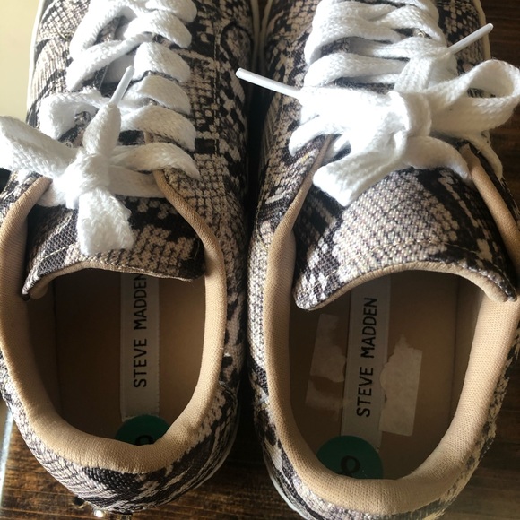 NEW Steve Madden snakeskin print sneakers. - Picture 3 of 5